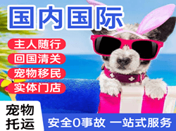 满洲里航空物流国际宠物托运 【国